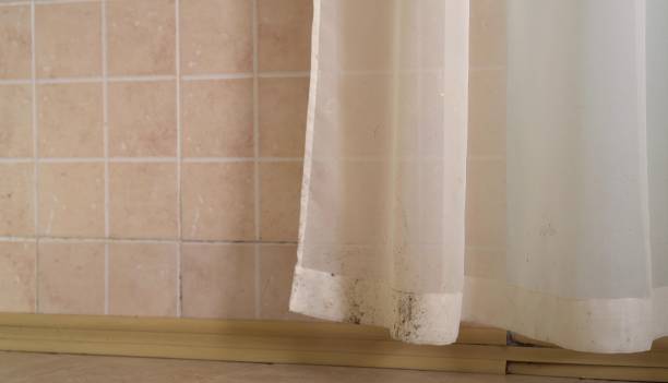 Mold Remediation for Vacation Homes in Winter Beach, FL