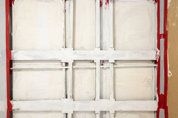 Best Basement Mold Removal  in Winter Beach, FL