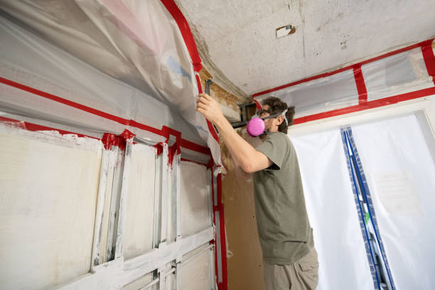 Best Biohazard Mold Removal  in Winter Beach, FL