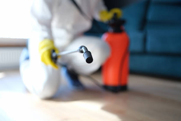 Trusted Winter Beach, FL Mold Removal Experts