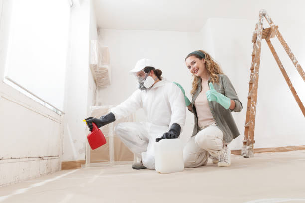 Best Emergency Mold Remediation  in Winter Beach, FL