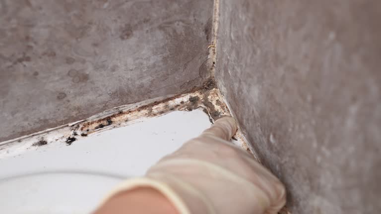 Best Indoor Air Quality Assessment  in Winter Beach, FL